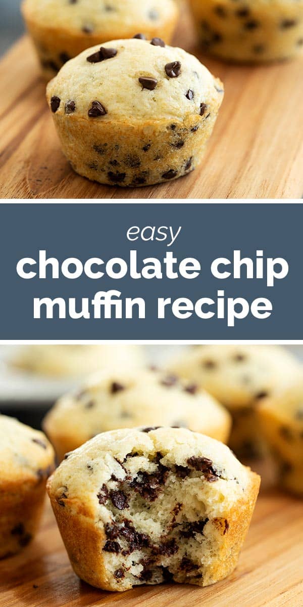 Chocolate Chip Muffin Recipe Taste And Tell