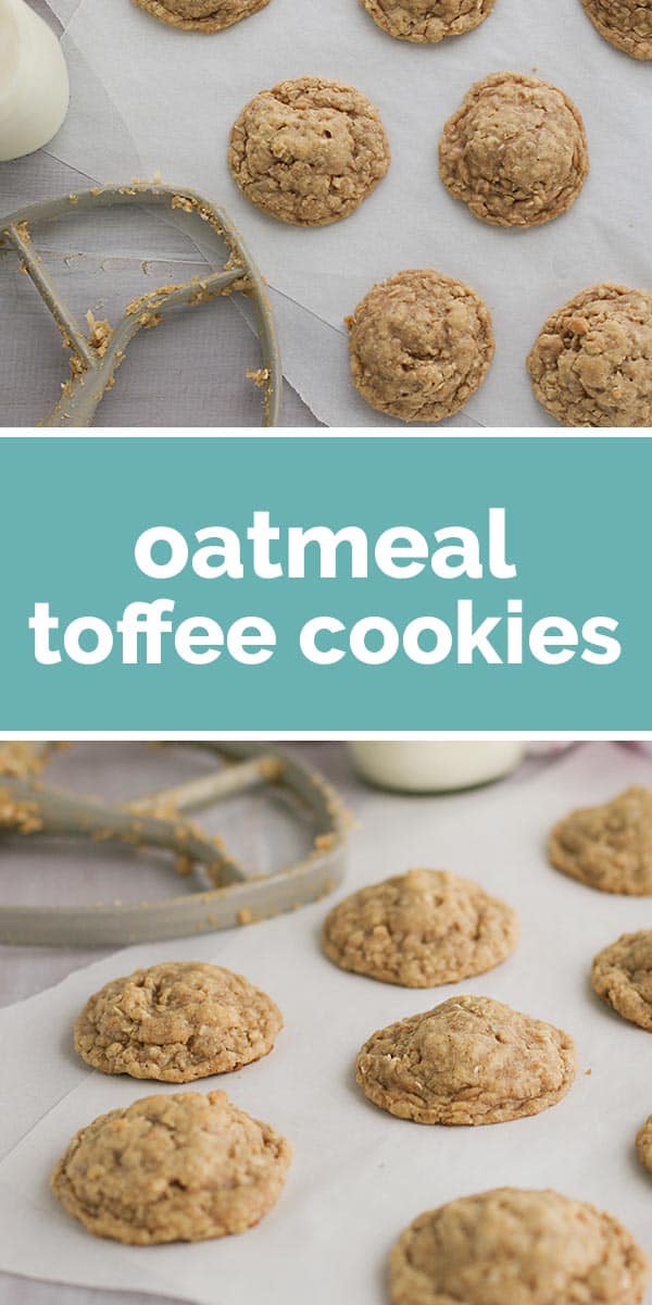 Oatmeal Toffee Cookies Taste and Tell