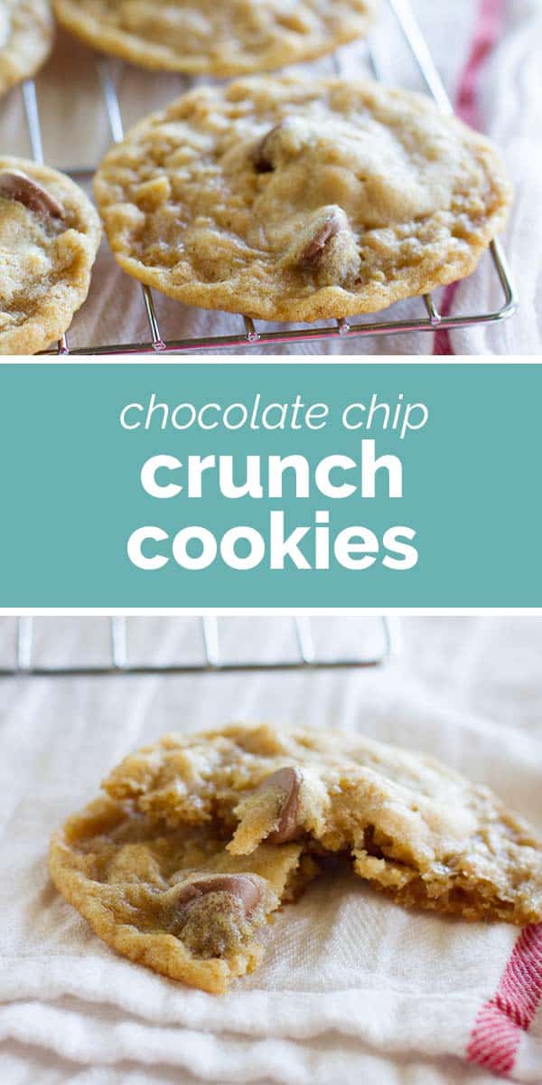 Chocolate Chip Crunch Cookies Taste and Tell
