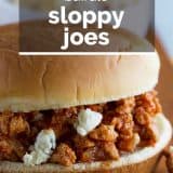 Buffalo Sloppy Joes photo with text overlay