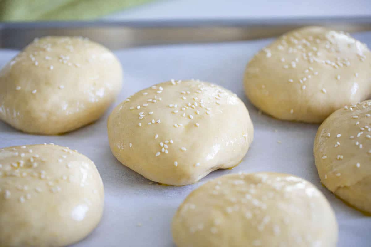 risen dough for hamburger buns
