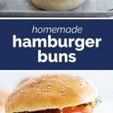 photo of a hamburger bun and a whole hamburger with text in the middle