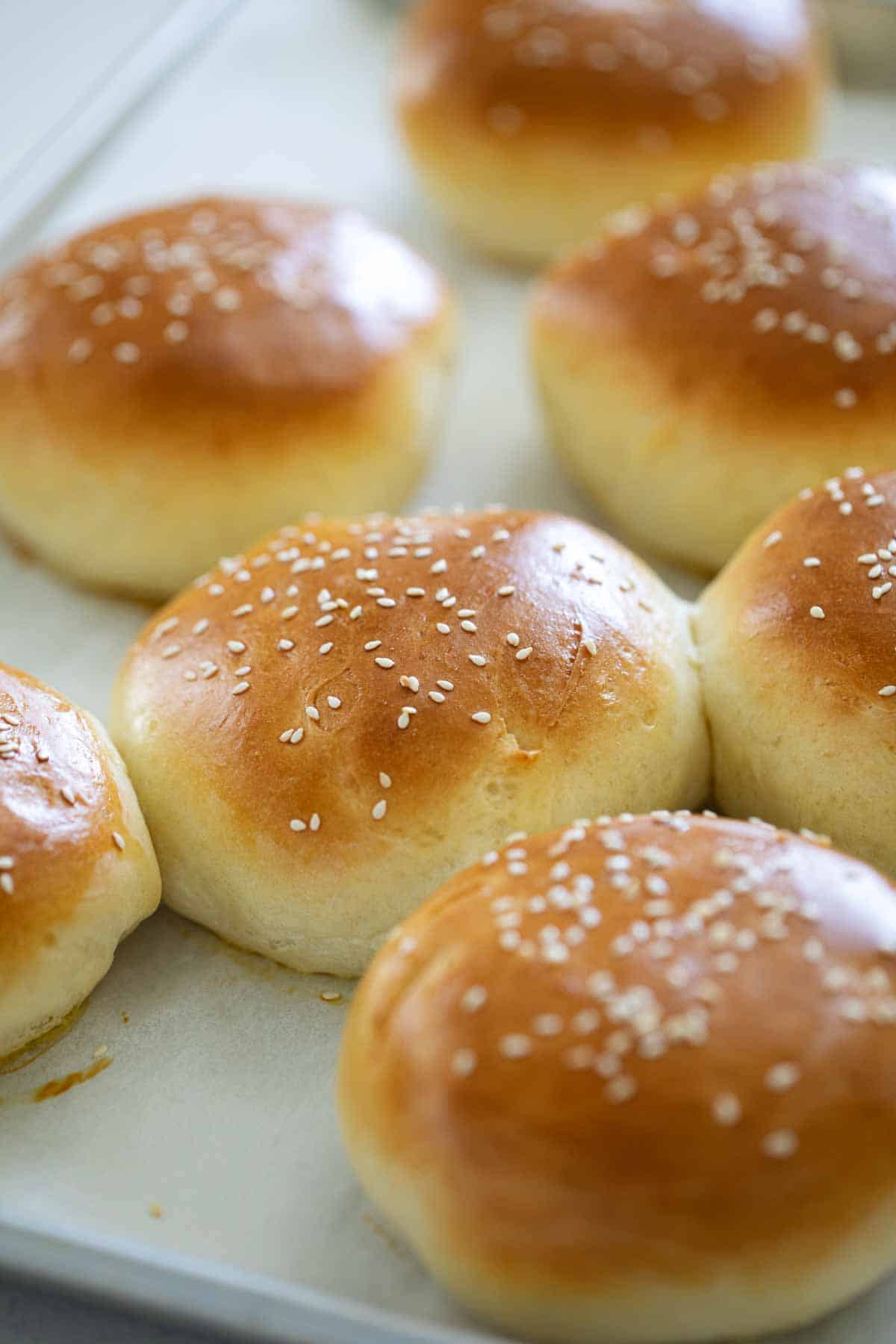 homemade hamburger buns topped with sesame seeds