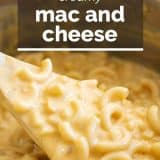 spoonful of macaroni and cheese with text overlay