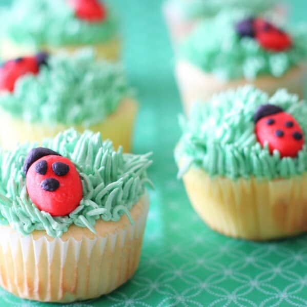 cupcakes topped with buttercream grass and marzipan ladybugs