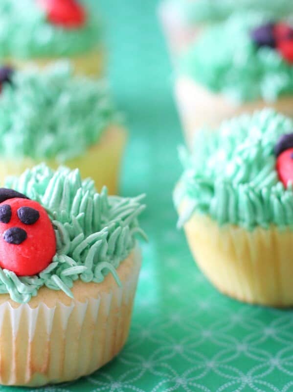 cupcakes topped with buttercream grass and marzipan ladybugs