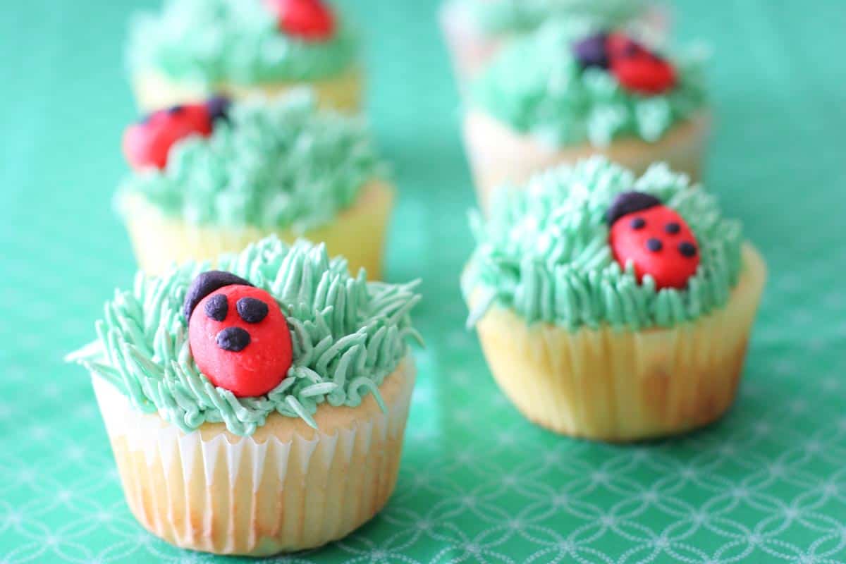 cupcakes topped with buttercream grass and marzipan ladybugs