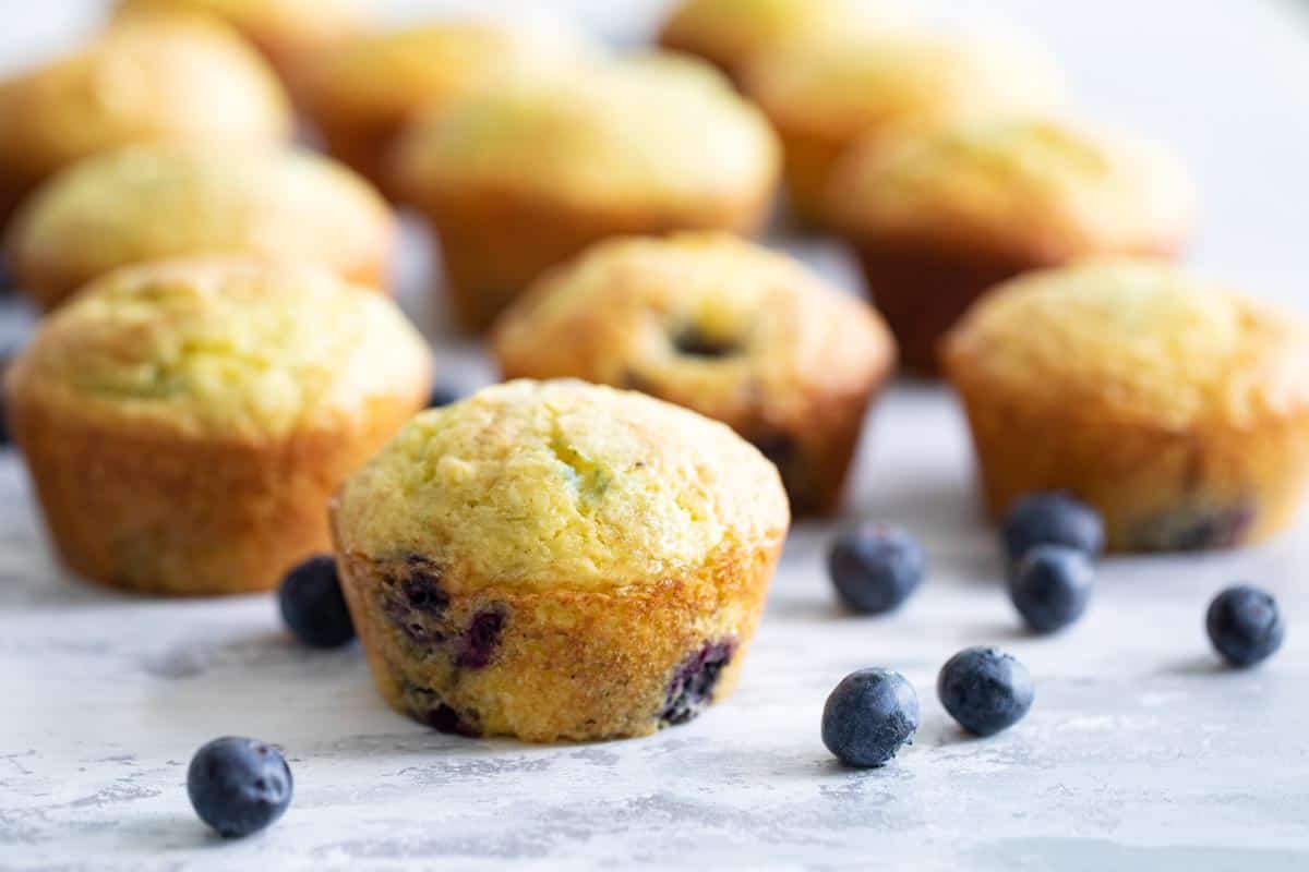 lemon blueberry muffins with fresh blueberries on the side