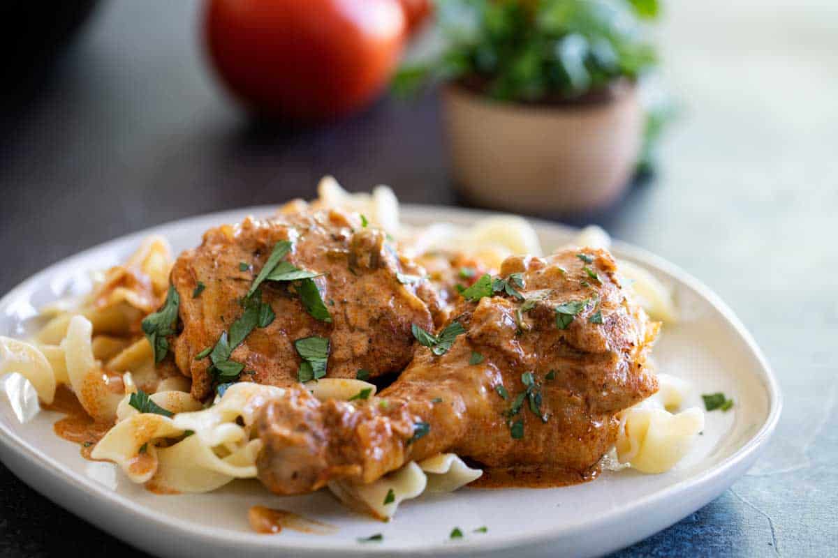 plate with chicken paprikash over buttered noodles