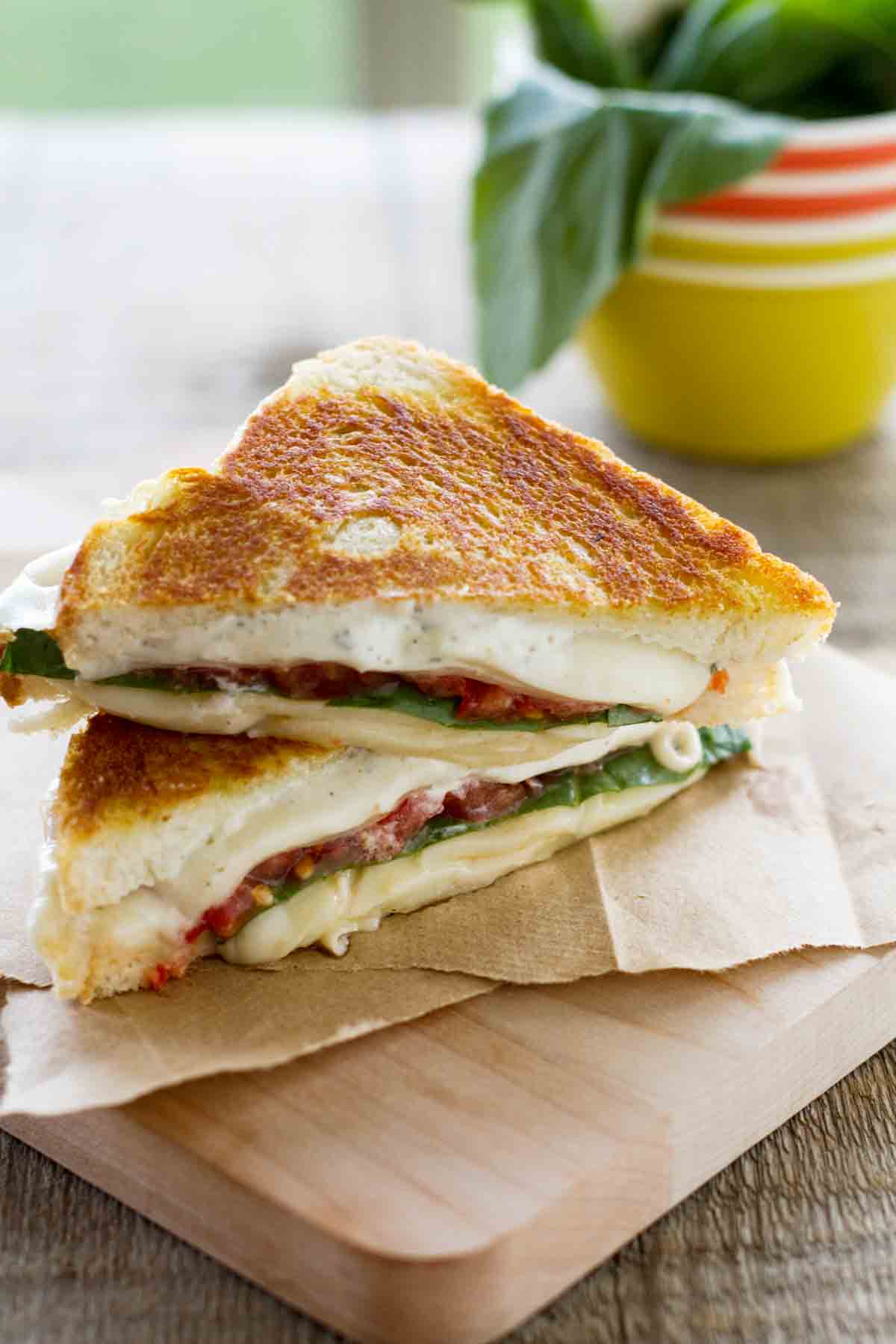 sliced grilled cheese sandwich with tomatoes and basil