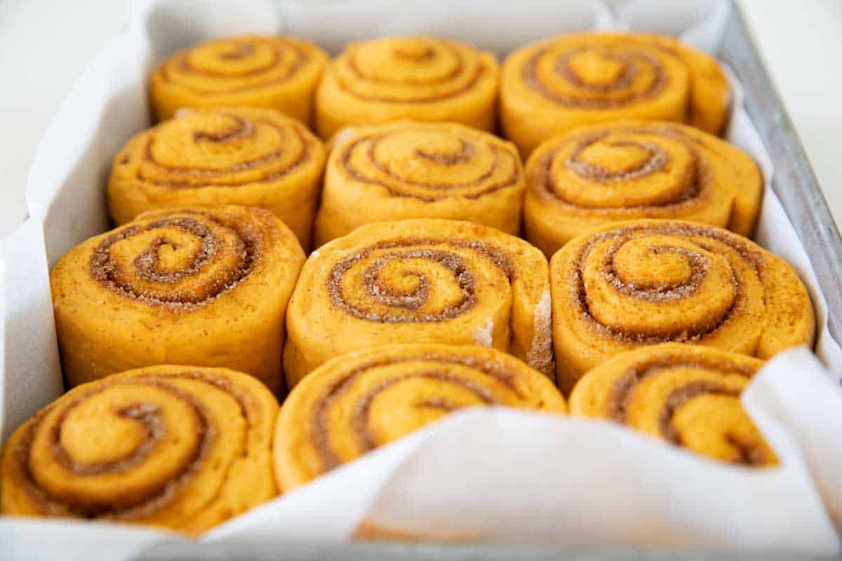 pan of baked Pumpkin Cinnamon Rolls without frosting