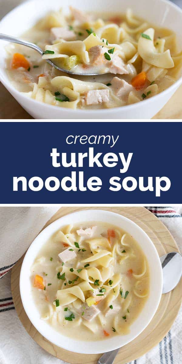 Creamy Turkey Noodle Soup Recipe Taste and Tell
