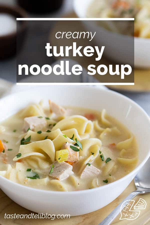 Creamy Turkey Noodle Soup Recipe Taste and Tell