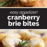 Cranberry Brie Bites with Text in the Center