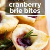 cranberry brie bites with text overlay