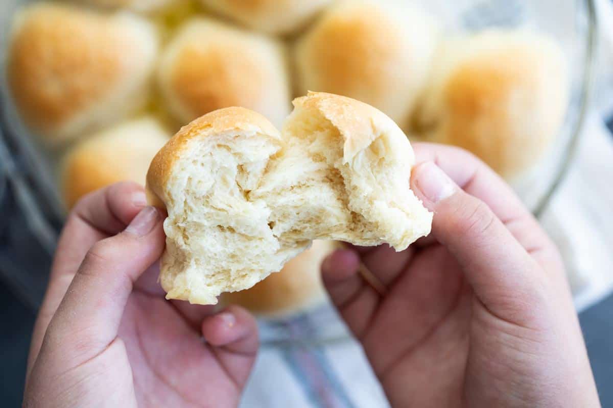 texture of soft and fluffy dinner rolls