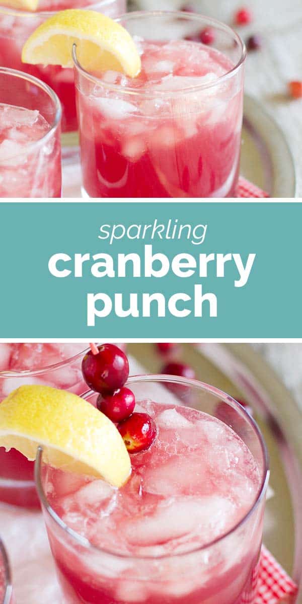 Sparkling Cranberry Punch Taste and Tell