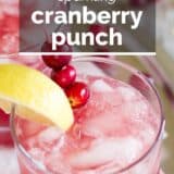 Sparkling Cranberry Punch with text overlay