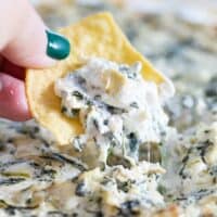 spinach artichoke dip on a chip