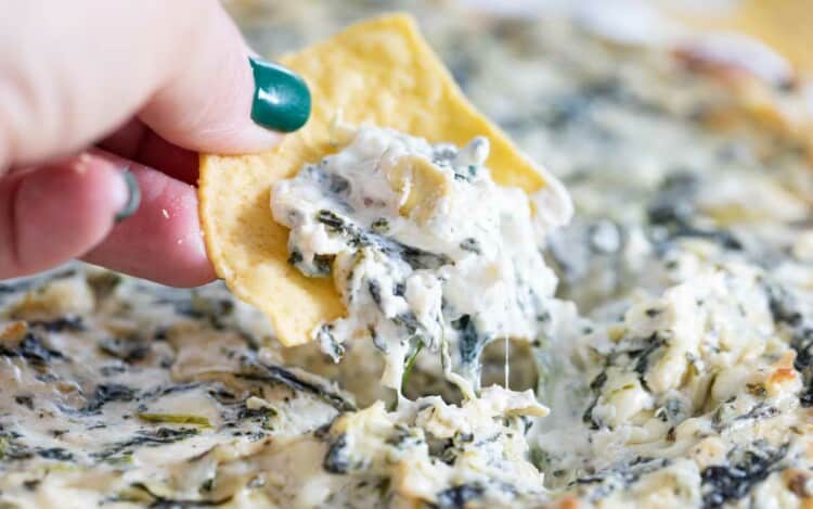 spinach artichoke dip on a chip