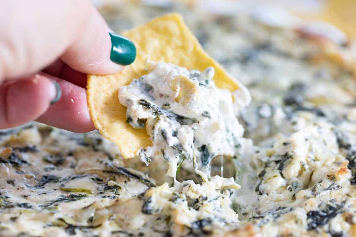 spinach artichoke dip on a chip