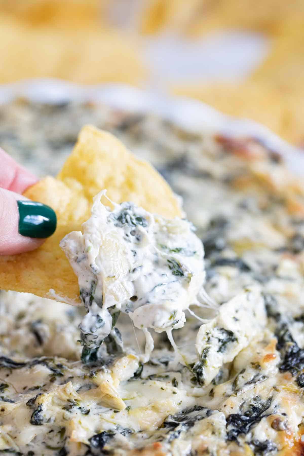 scooping spinach artichoke dip on a tortilla chip