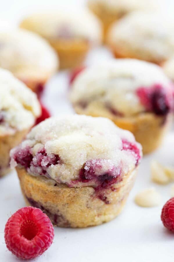 raspberry muffin with white chocolate chips with fresh raspberry on the side