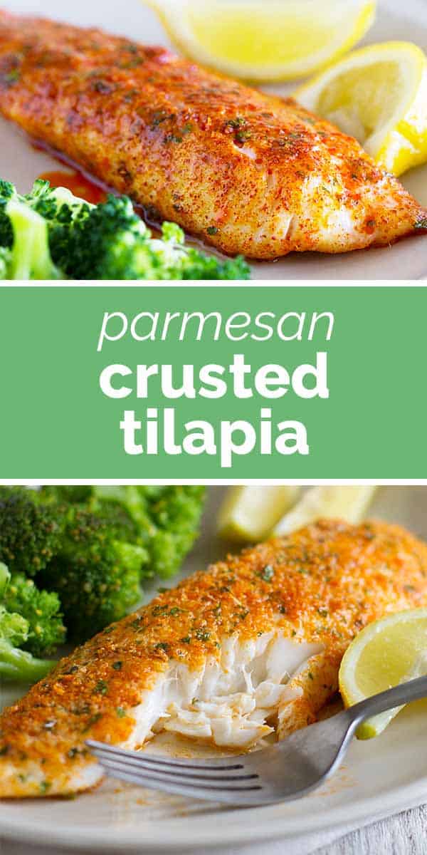 Fast and Easy Parmesan Crusted Tilapia Taste and Tell