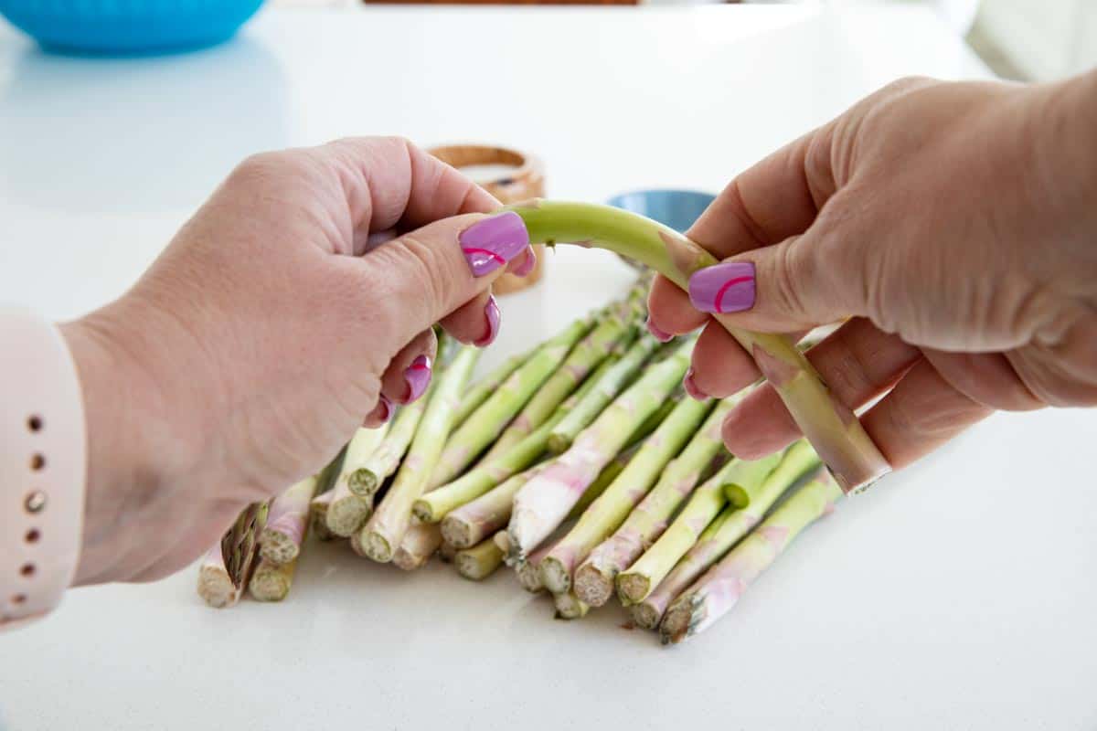 visual showing how to snap asparagus for prepping