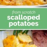 Scalloped Potatoes with text in the center