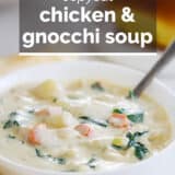 chicken and gnocchi soup with text overlay
