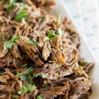 plate full of chipotle shredded beef sprinkled with cilantro