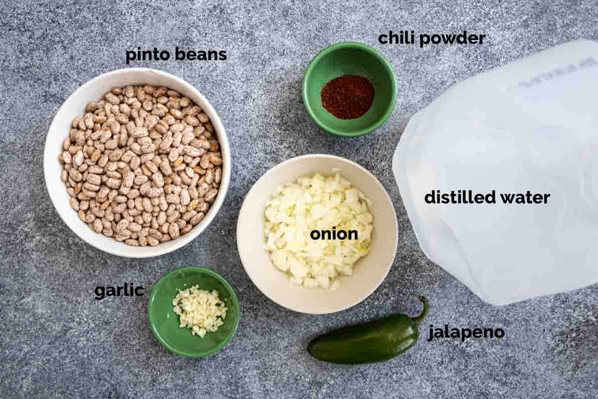 ingredients needed to make pinto beans in the instant pot