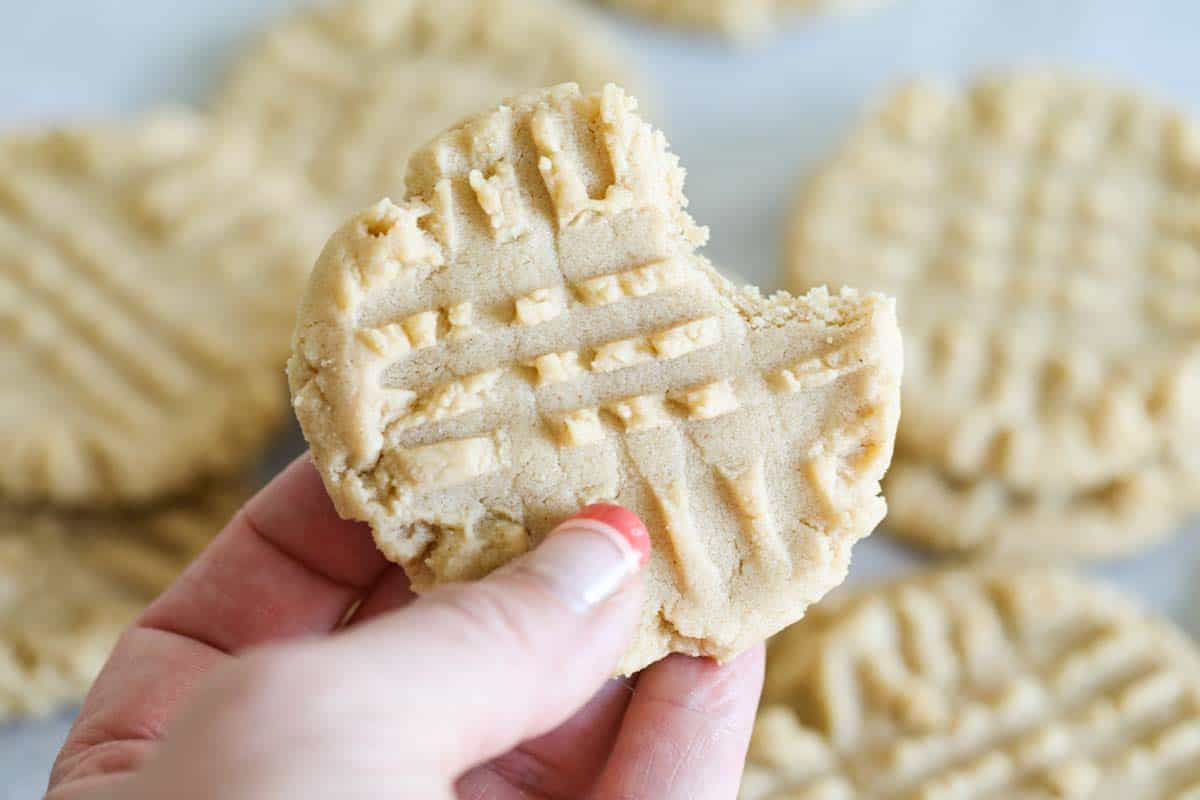 holding a peanut butter cookie with bite taken from it