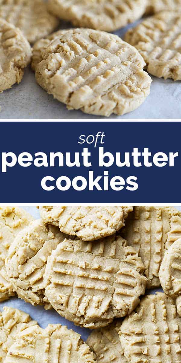 Peanut Butter Cookies Taste and Tell