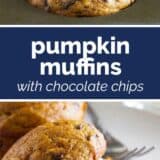 Pumpkin Muffins with Chocolate Chips with text in the middle