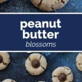 peanut butter blossoms with text bar in the middle