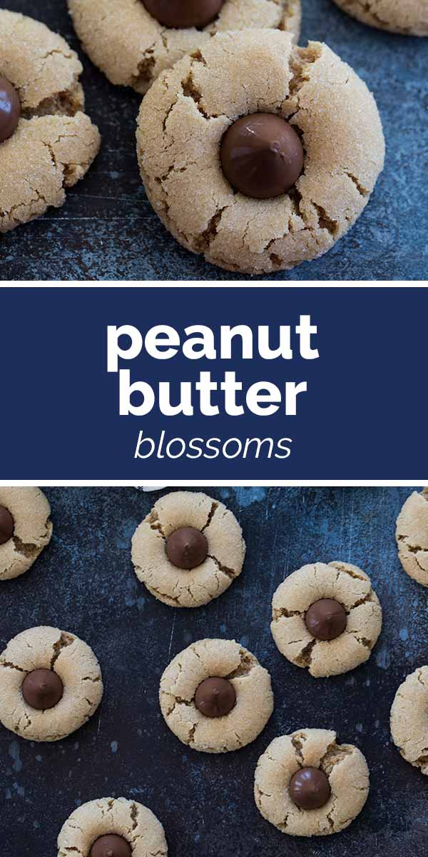 Peanut Butter Blossoms Recipe Christmas Cookie Recipe Taste and Tell