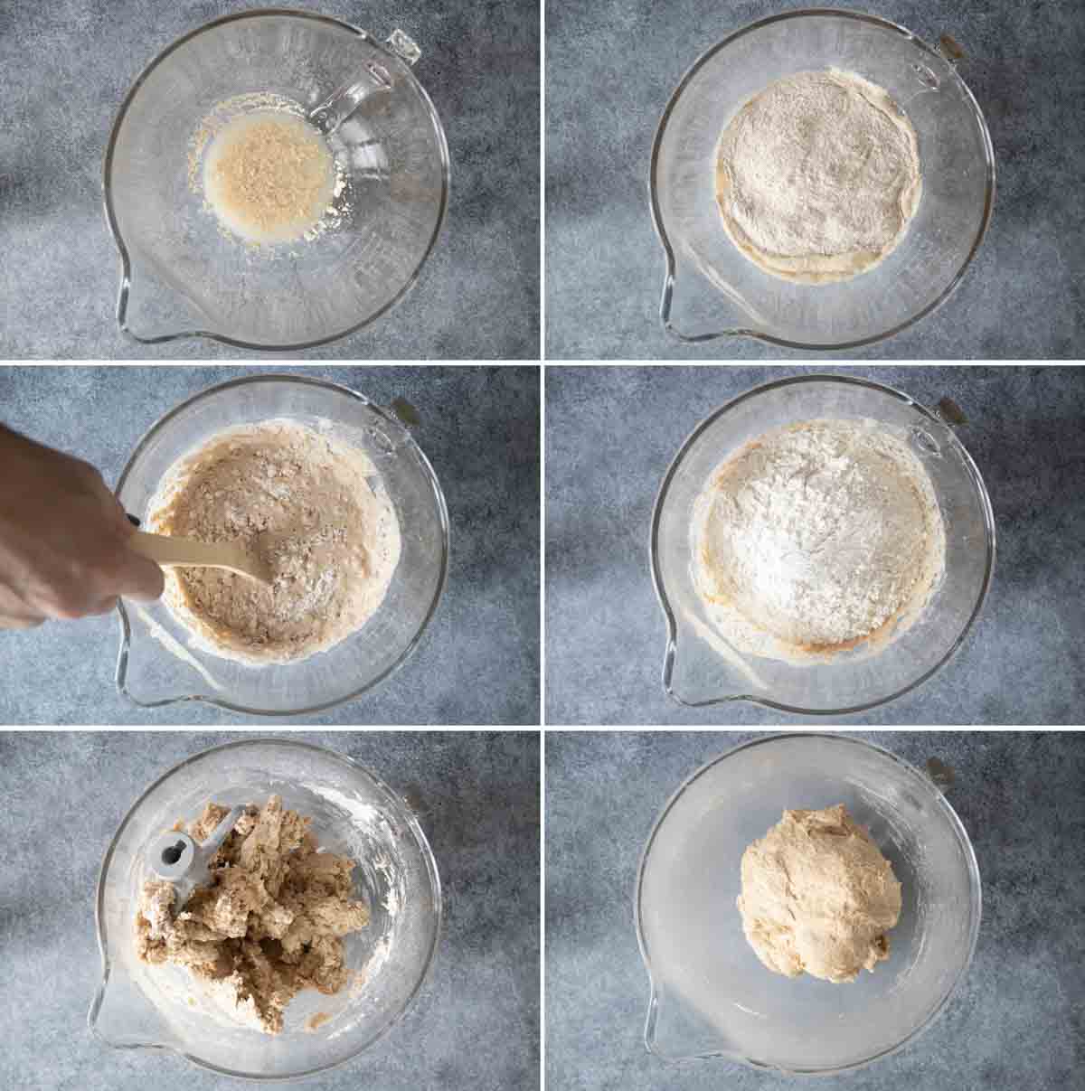 steps to make whole wheat rolls