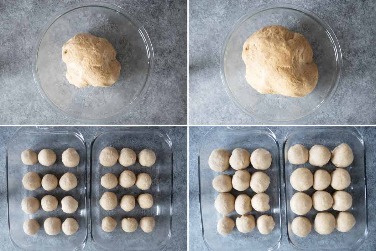 rising dough for whole wheat rolls