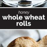 whole wheat rolls with text bar in the middle