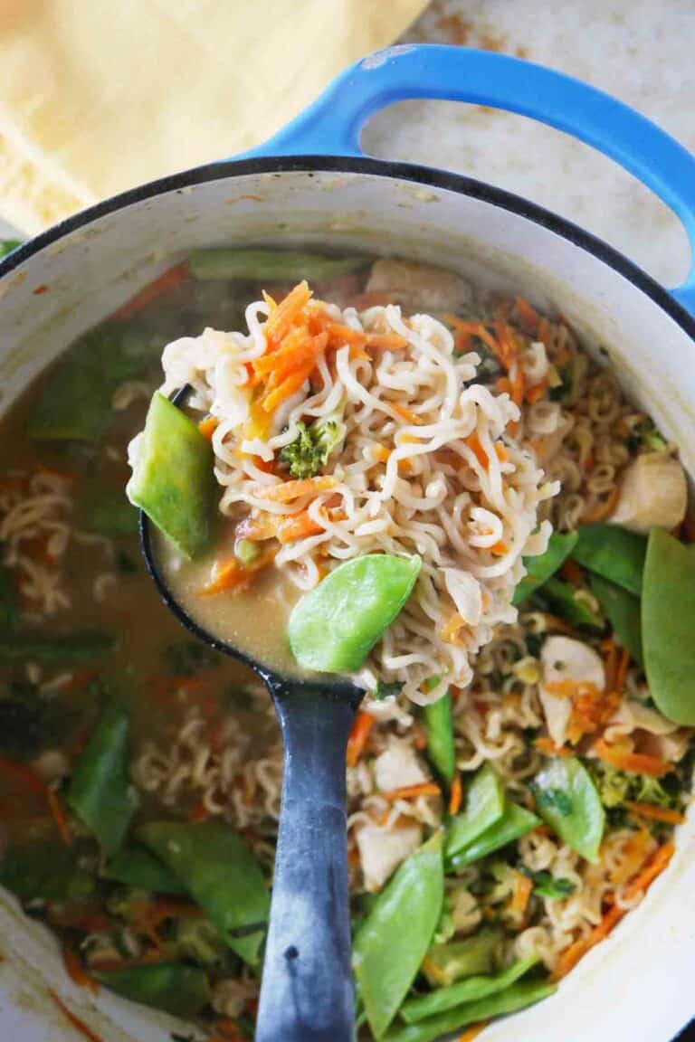 Asian Chicken Noodle Soup Taste and Tell