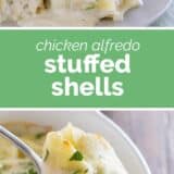 Chicken Alfredo Stuffed Shells collage with text bar in the middle