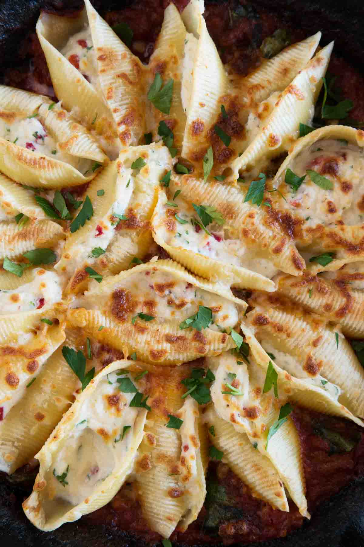 overhead view of stuffed pasta shells with easy bolognese sauce