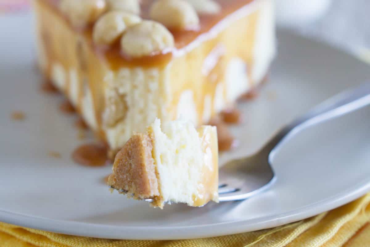bite of white chocolate cheesecake on a fork