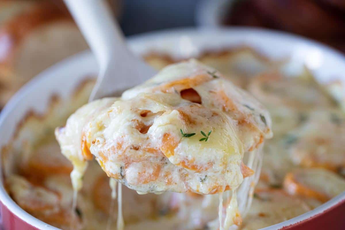 dishing out scalloped sweet potatoes with a wooden spoon showing cheese pull