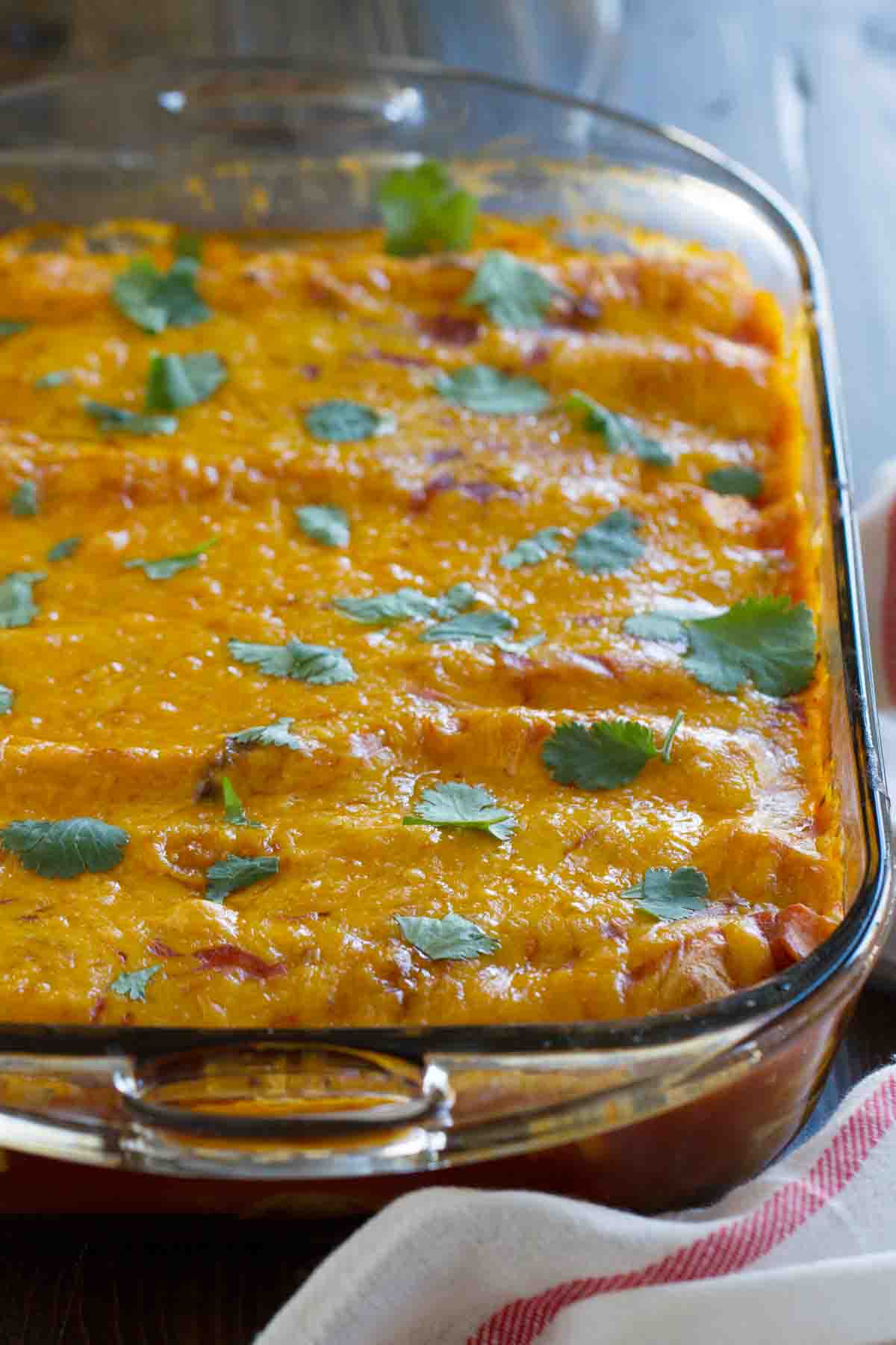 pan full of sweet potato and black bean enchiladas with cheese and cilantro on top.