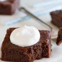 Grain Free Coconut Flour Brownies