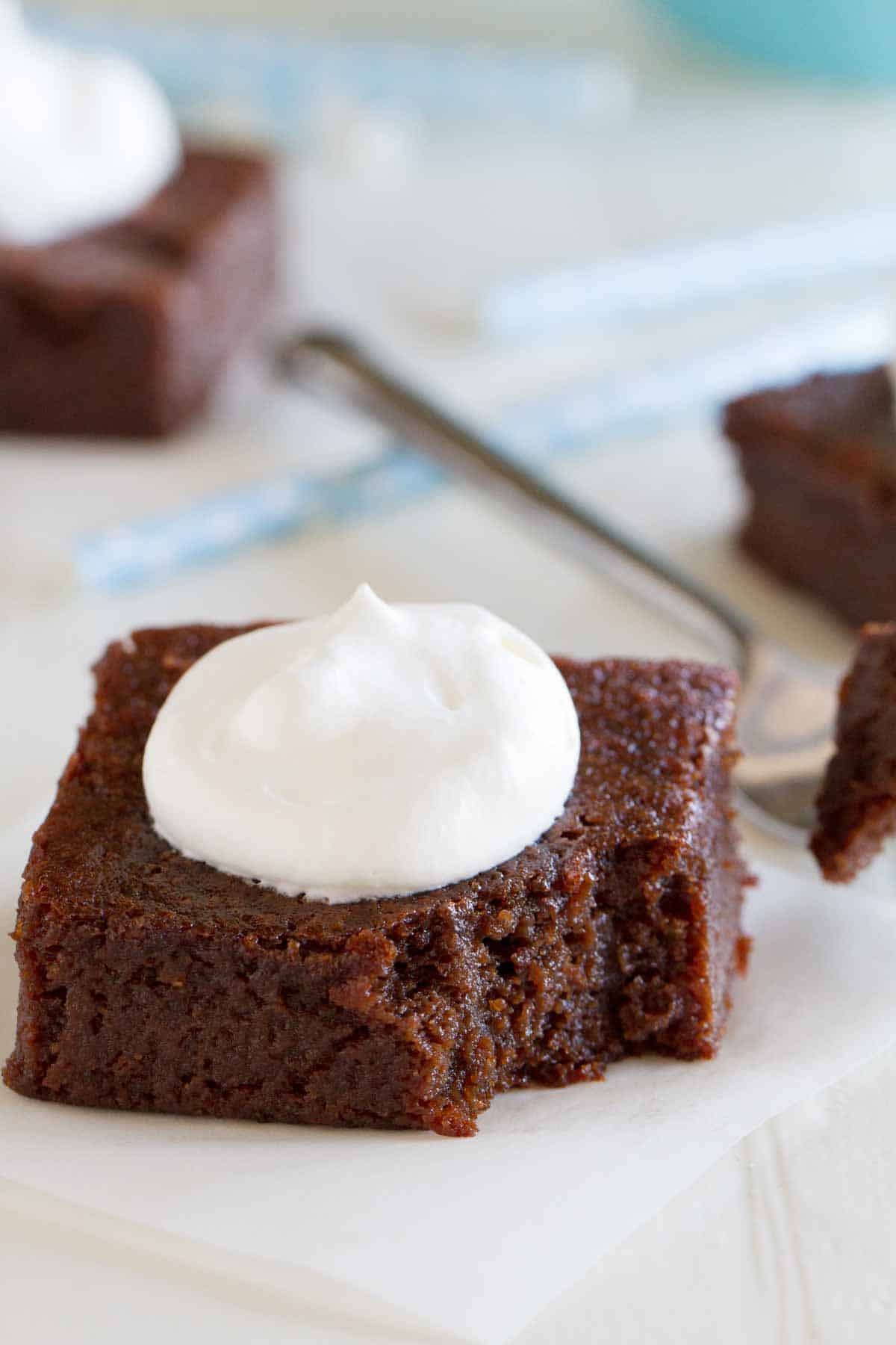 Grain Free Coconut Flour Brownies