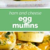 Egg Muffins collage with text bar in the middle